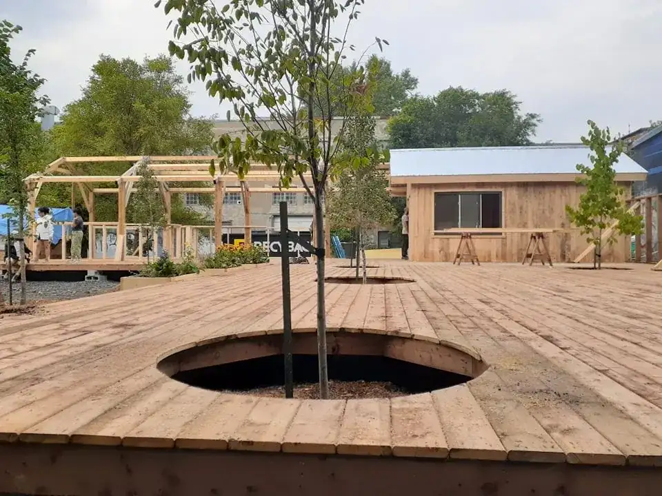 Platelage de bois percé pour laisser passer les arbres existants